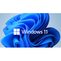 Windows 11