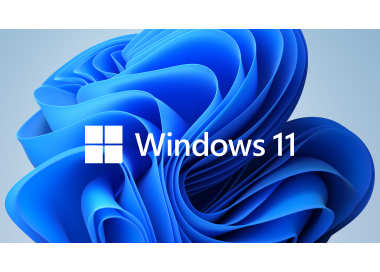 Windows 11